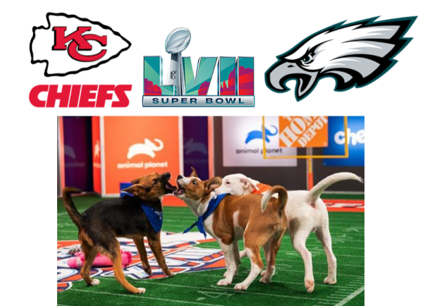 Where to Stream the Super Bowl LVII (2023): Puppy Bowl and Great